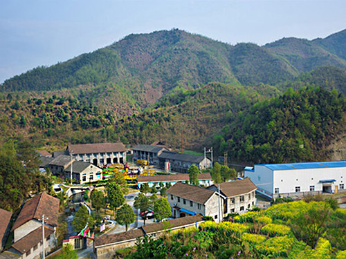 熱烈祝賀華體會集團-華體會官方網站正式上線！